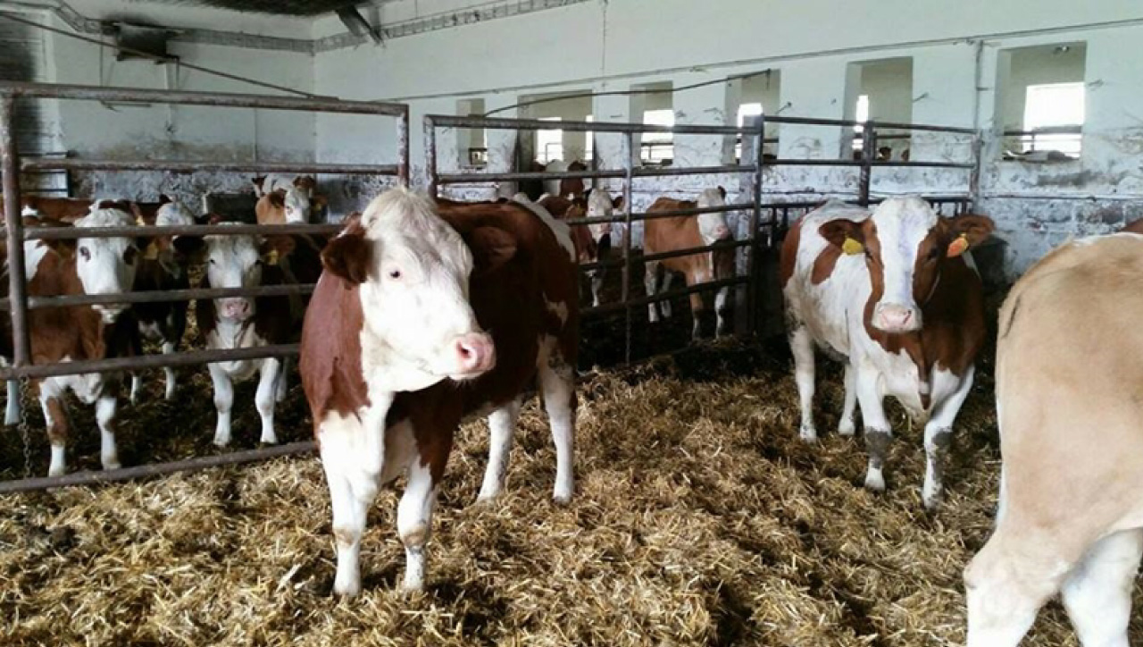 Kütahya Yeni Parti Teslim Edildi