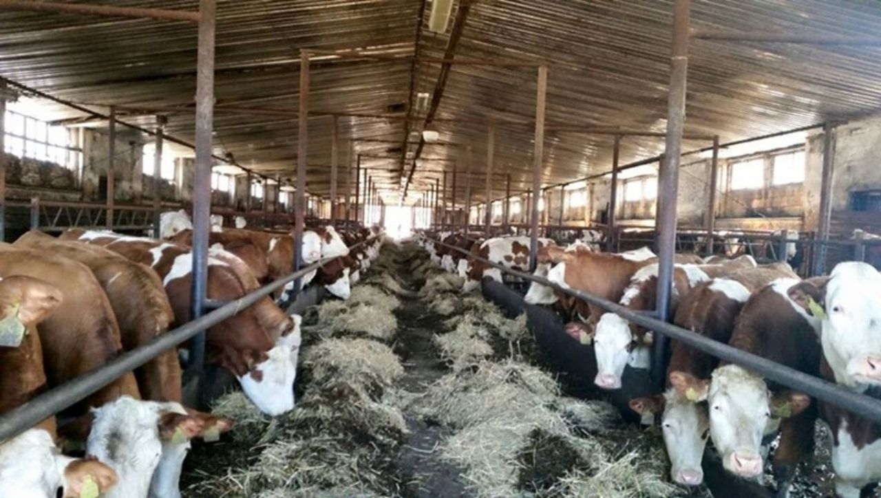 Çek Cumhuriyetinden K.Maraş'a