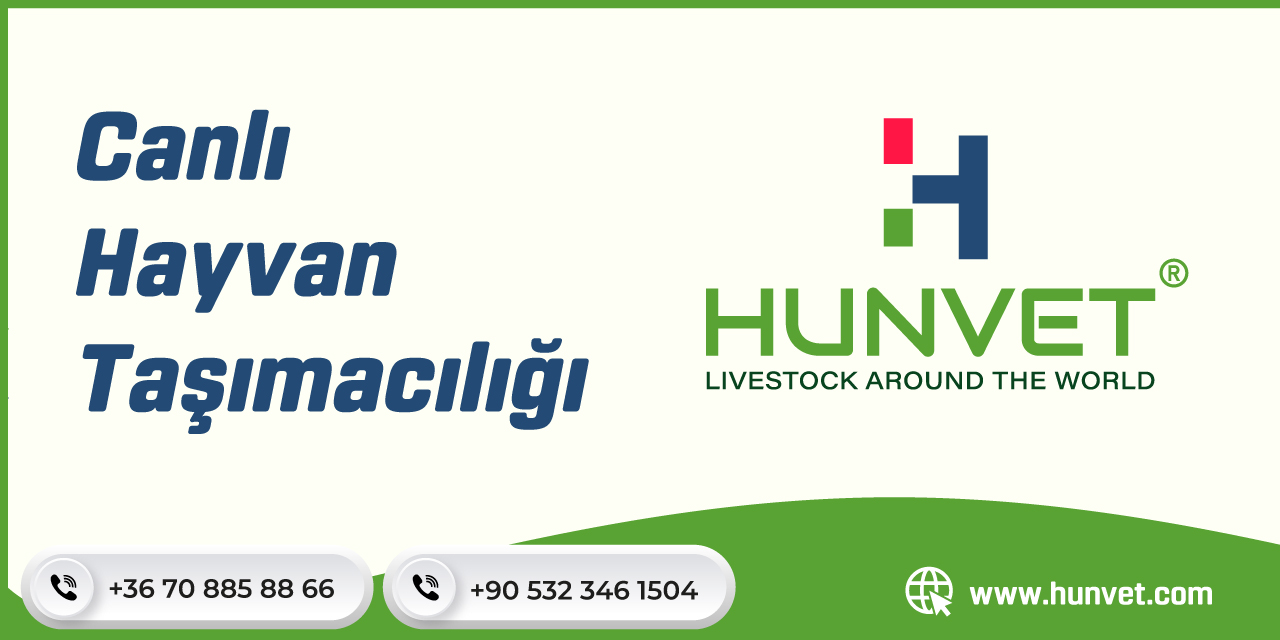 Canlı Hayvan Taşımacılığı